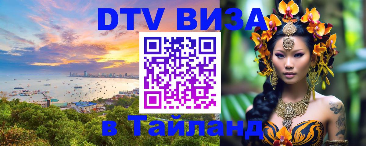 Сколько стоит DTV виза — актуальные цены, оформление даже без документов - 10.01.2026 